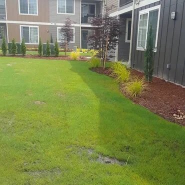 Spray seeding in front of apartments.
