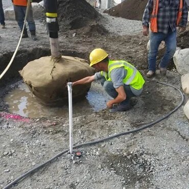 Tree Installation for city.